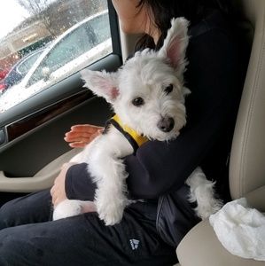 Meet your Posher, Ina